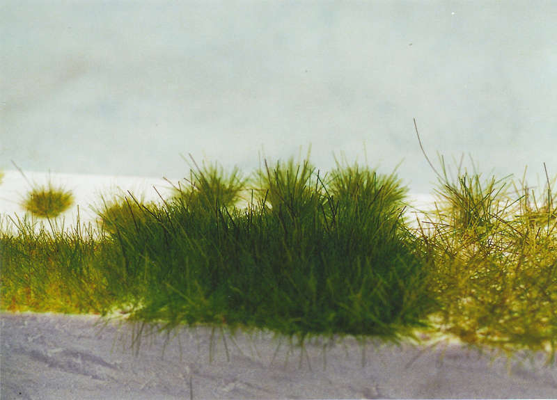 Gras23