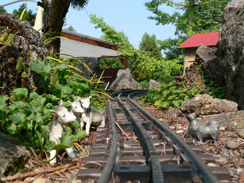 Viecher I