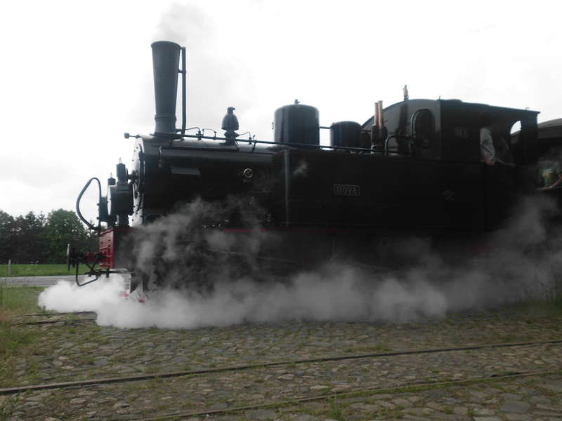 Die Hoya am 19.05.2012