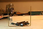 4342IMG_5252.JPG