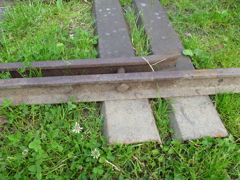 P1000347