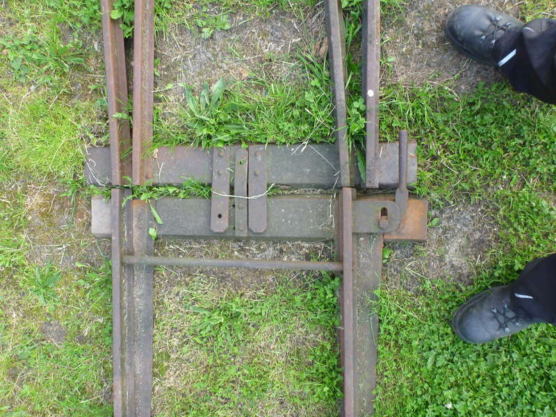 P1000350