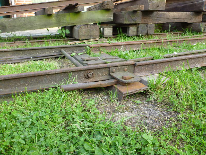P1000351