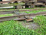 1495P1000351.JPG