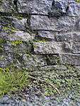 20220326_0077_b.jpg