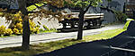 20220828_134838_Duennwald_web.jpg