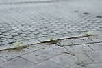 5715IMG_0150.jpg