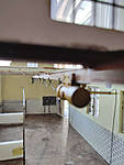 5715IMG_20210610_154641_b.jpg