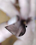 5715IMG_20210627_112246_b.jpg