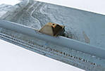 5715IMG_5259b.jpg
