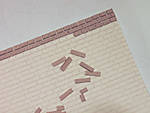 5715IMG_5324b.jpg