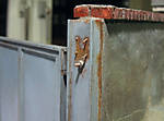 5715IMG_5382b.jpg