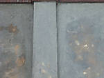5715IMG_5403b.jpg