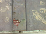 5715IMG_5409b.jpg