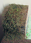 5715IMG_5527b.jpg