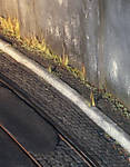 5715IMG_5750b.jpg