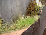 5715IMG_5801b.jpg