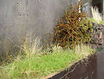 5715IMG_5806b.jpg