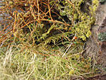 5715IMG_5807b.jpg