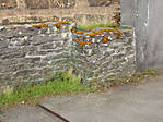 5715IMG_5818b.jpg
