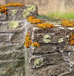 5715IMG_5835b.jpg