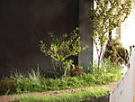 5715IMG_5852b.jpg