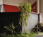 5715IMG_5853b.jpg