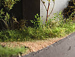 5715IMG_5856b.jpg