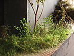 5715IMG_5861b.jpg