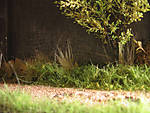 5715IMG_5862b.jpg