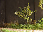 5715IMG_5871b.jpg