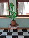 5715IMG_6393b.JPG