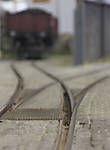 5715IMG_7529b.jpg