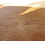 5715IMG_7641b.jpg