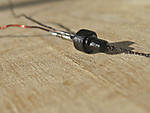 5715IMG_7714b.jpg