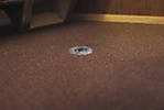 5715IMG_8107b.jpg