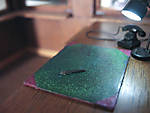 5715IMG_8124b.jpg