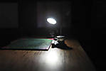 5715IMG_8157b.jpg