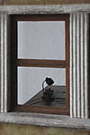 5715IMG_8214b.jpg