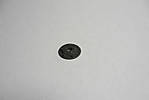 5715IMG_8892b.JPG