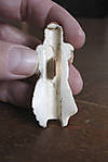 5715IMG_9312b.jpg