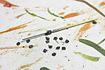 5715IMG_9383b.jpg