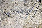 5715IMG_9400b.jpg