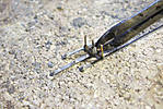 5715IMG_9403b.jpg