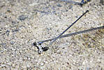 5715IMG_9408b.jpg
