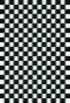 5715Linoleum.jpg
