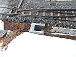 5715P1170586_b.jpg