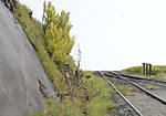 5715P1170721_b.jpg