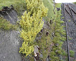 5715P1170729_b.jpg