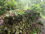 IMG_20210626_113916b.jpg